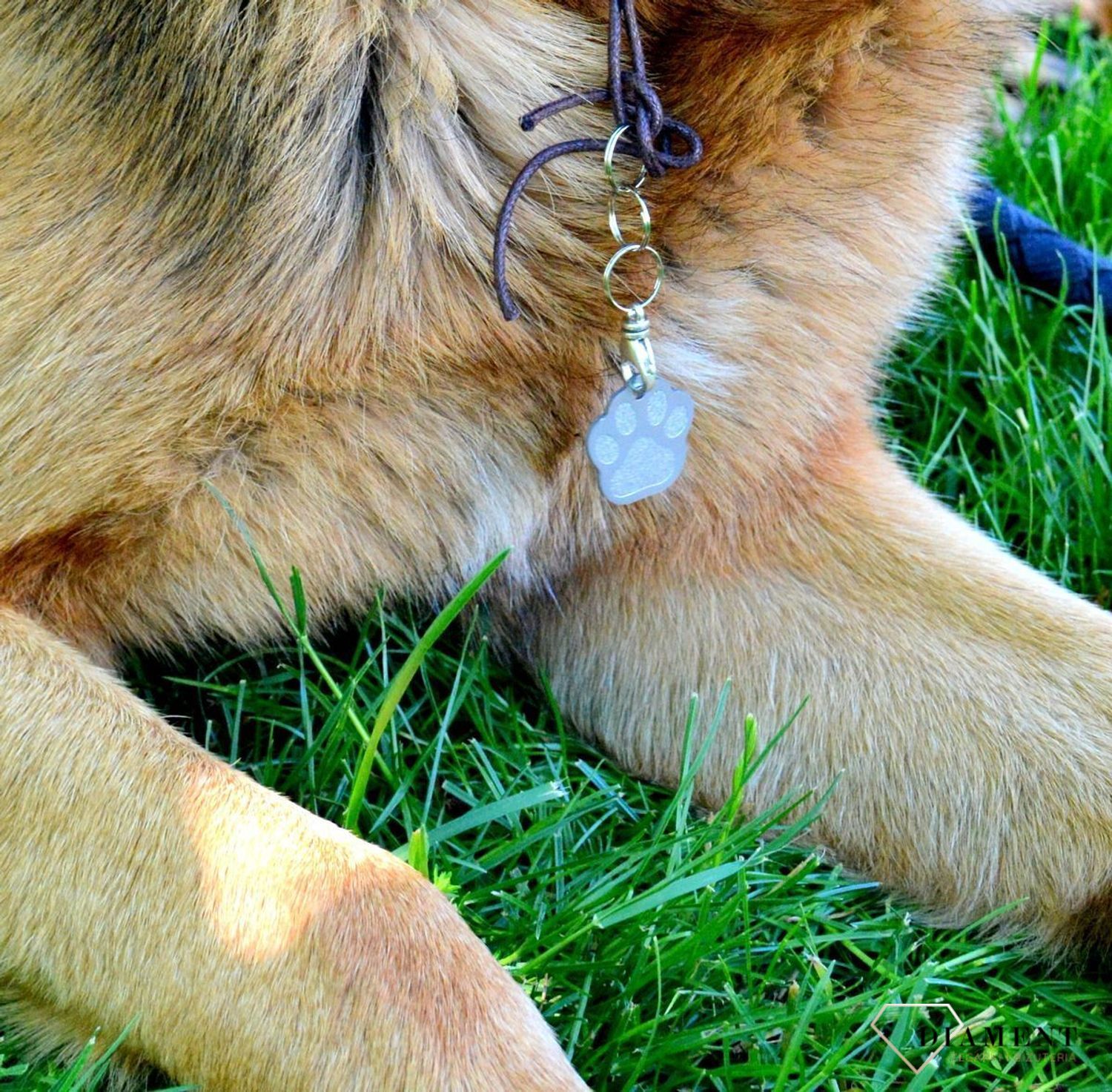 Blaszka dla pupila łapka psa 2,5 cm z miejscem na grawer Łapka psa silver M.  Blaszka w formie adresówki, identyfikatora dla psa. Blaszka z miejscem na grawer. Na adresówce możemy wygrawerować np. imię psa i nr telefonu do wła.jpg